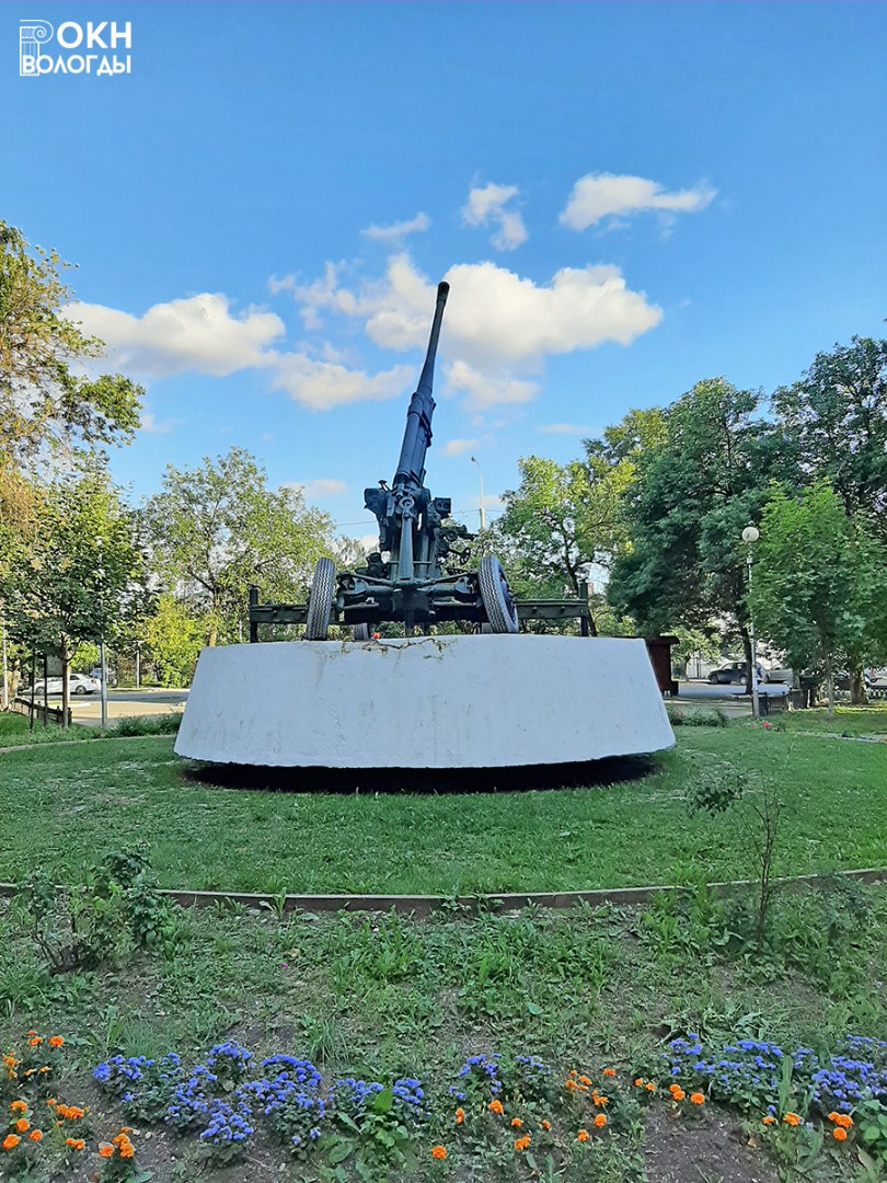 Вид сзади