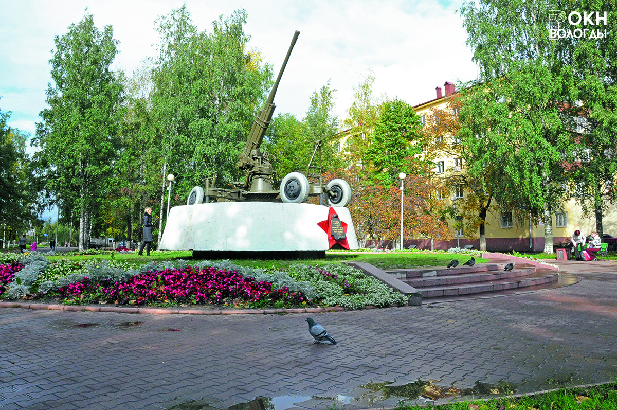 Общий вид