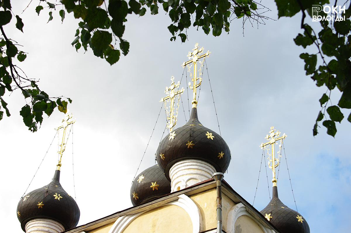 Главы церкви Димитрия Прилуцкого, 2009 год